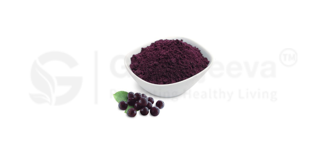  elderberry extract powder 